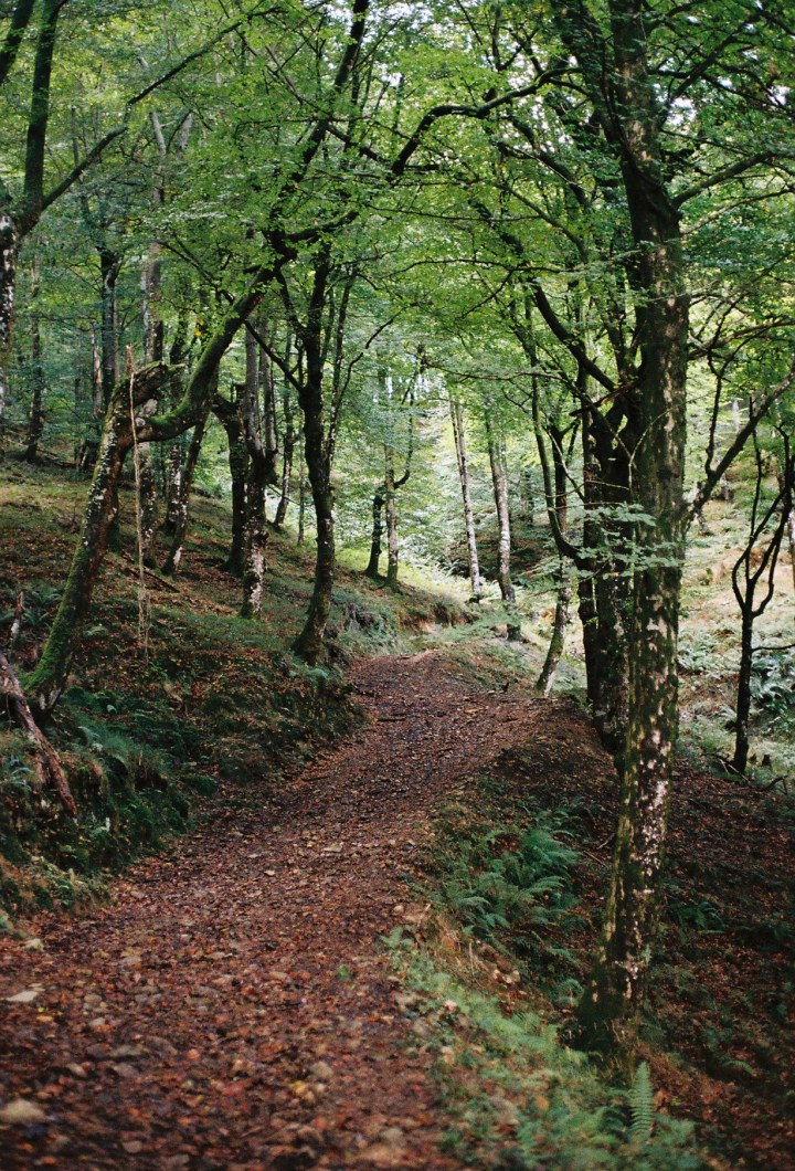 Kantabria – analogowo